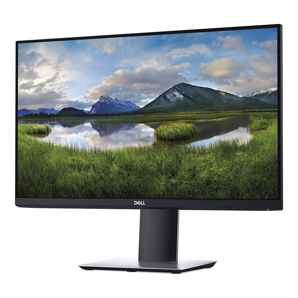 Dell P2419H 24" Full HD IPS DisplayPort HDMI USB Hub